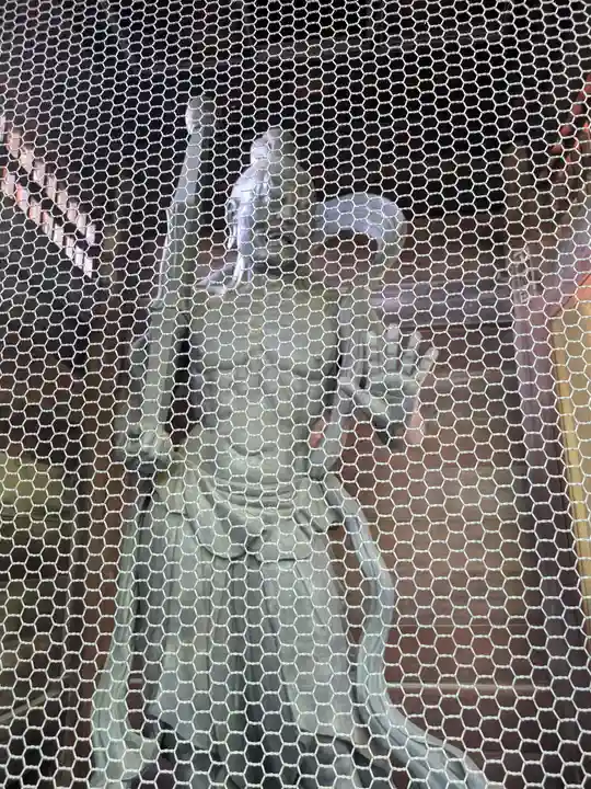 乗蓮寺(東京都)