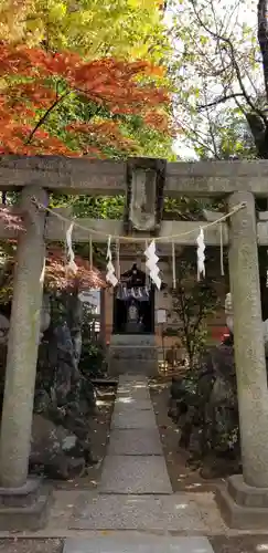 松戸神社の鳥居