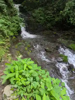 九頭龍神社(東京都)