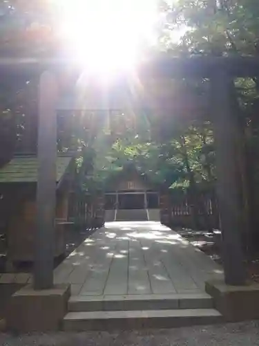 開拓神社の鳥居