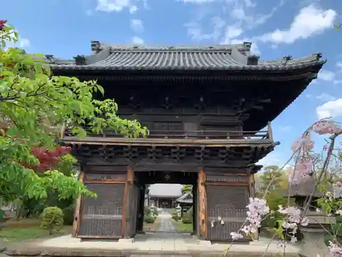 妙顕寺の山門