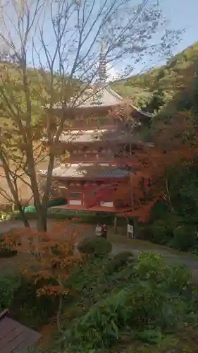 清水寺の塔