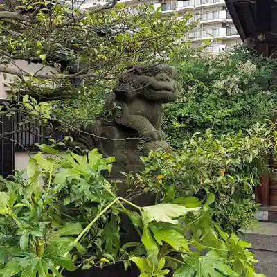 古録天神社の狛犬