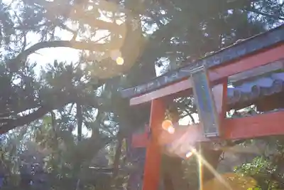 龍安寺(京都府)