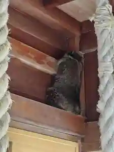 厚別神社(北海道)(2024年04月04日(木) 14時36分01秒投稿)