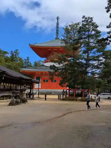 高野山金剛峯寺(和歌山県)