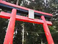 日吉神社の鳥居