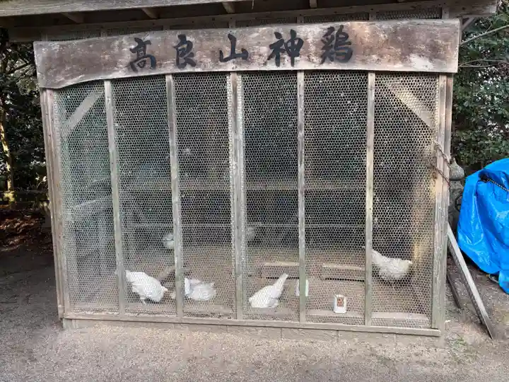 高良大社(福岡県)