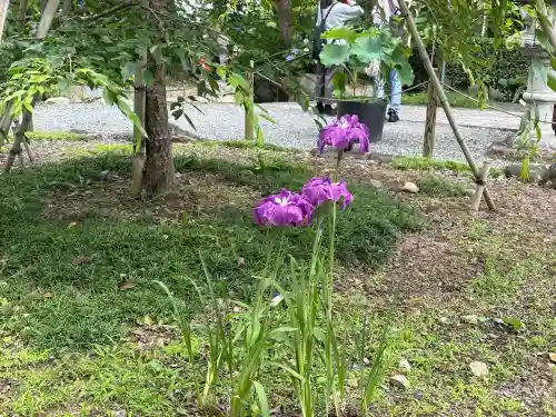 頼光寺(兵庫県)