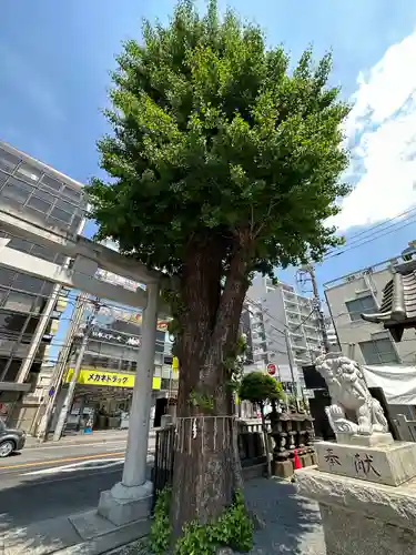 柏神社(千葉県)