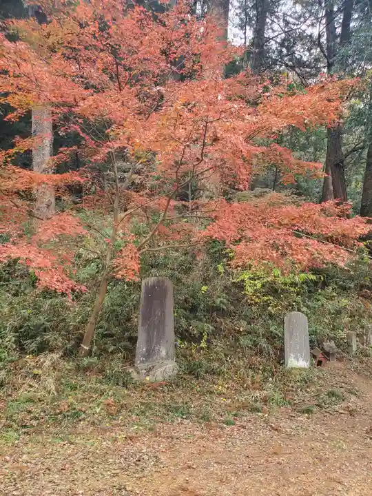 菅東山出世稲荷神社の自然