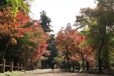 平林寺(埼玉県)