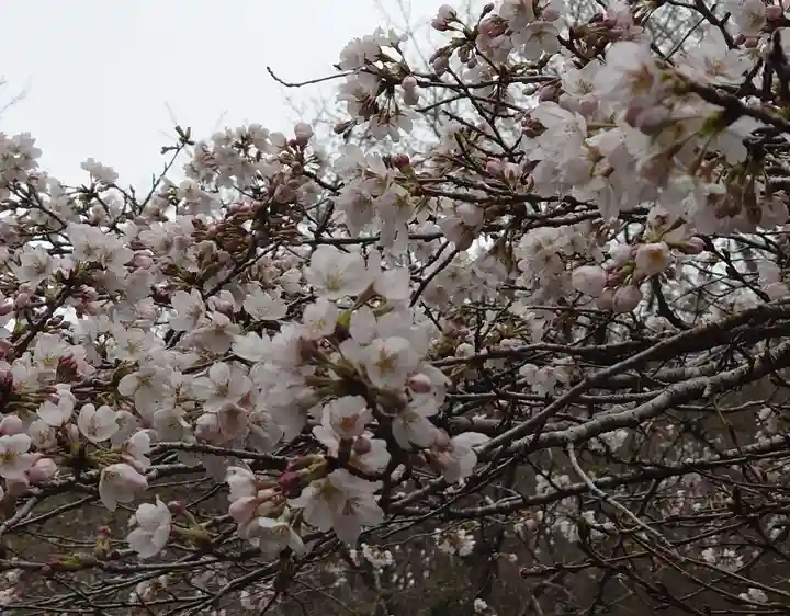 龍藏神社(神奈川県)