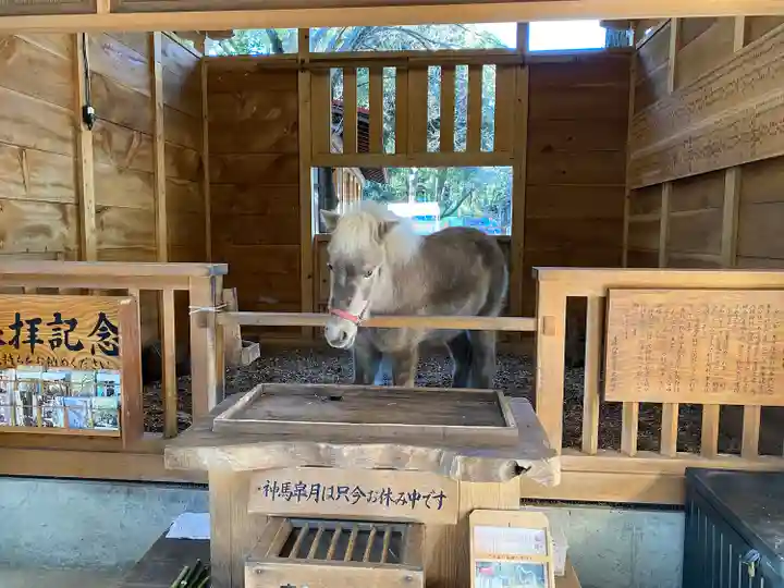 平塚八幡宮(神奈川県)