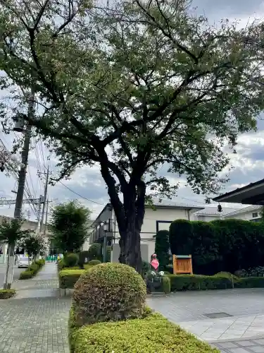 泉龍寺別院(東京都)