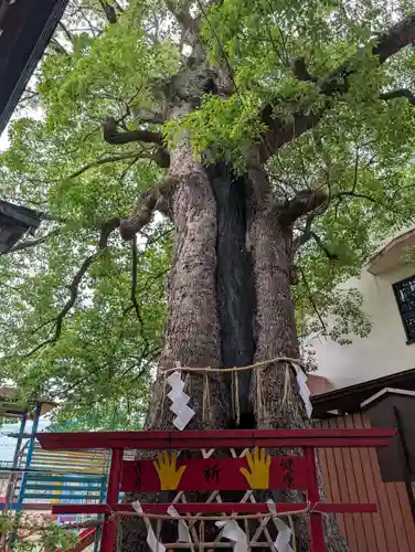 五方山熊野神社(東京都)