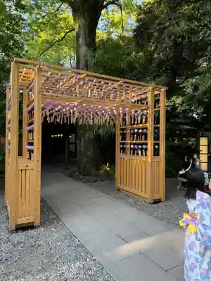 川越氷川神社(埼玉県)