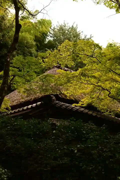 祇王寺(京都府)