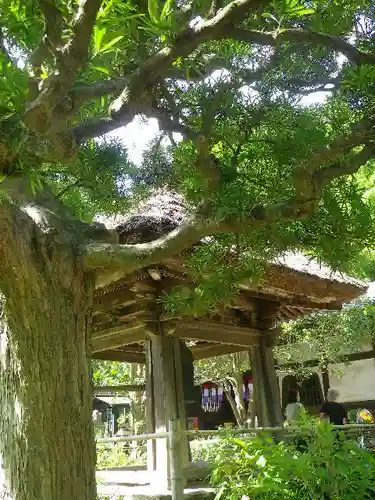 円応寺のその他建物