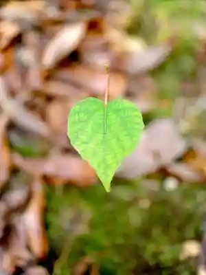 浄土寺(兵庫県)