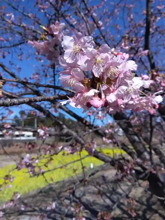 白山神社(静岡県)