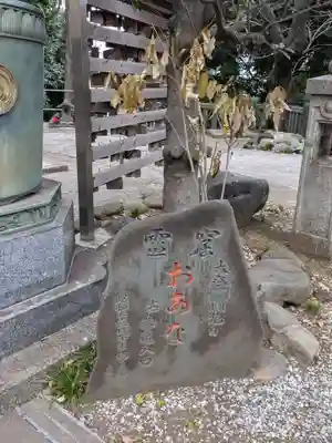 澤蔵司稲荷（慈眼院）(東京都)