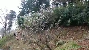 白狐山光星寺(山形県)(2021年03月26日(金) 11時52分37秒投稿)