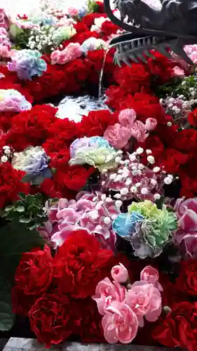 札幌諏訪神社の手水舎