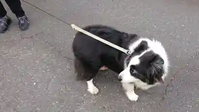 妙松寺(静岡県)