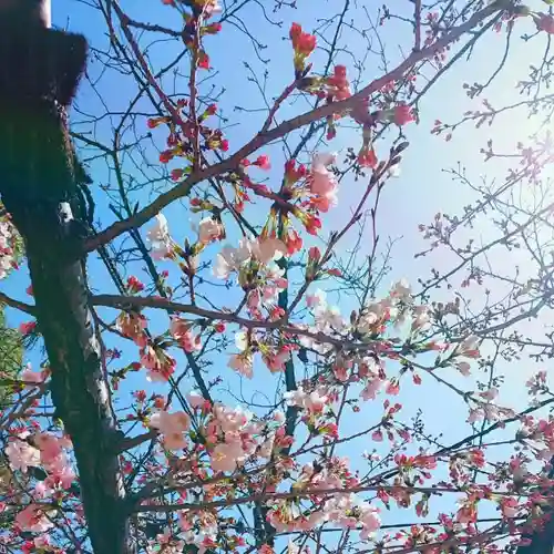 生田神社の自然