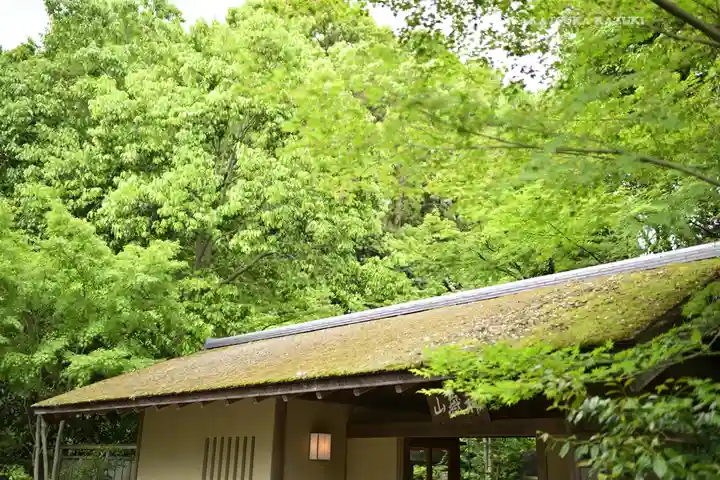 寒川神社(神奈川県)