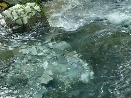 八幡神社の自然
