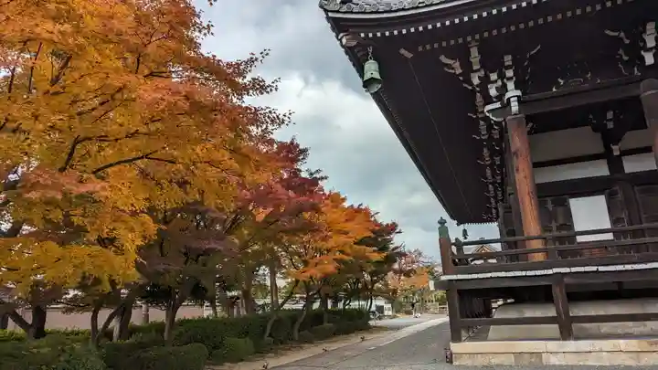 妙顯寺(妙顕寺)(京都府)