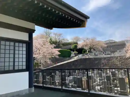林光寺(神奈川県)