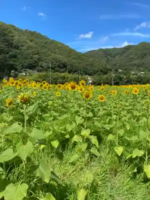 天神社(岡山県)