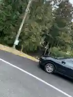 若宮神社の周辺