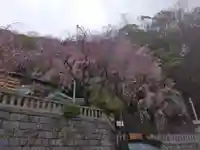 根岸八幡神社(神奈川県)