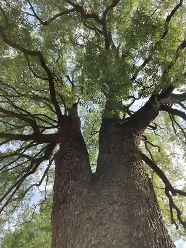 冠稲荷神社(群馬県)