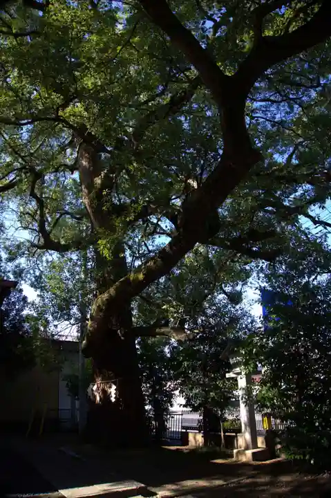 芳川神社(埼玉県)