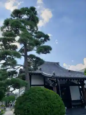 貞源寺(東京都)