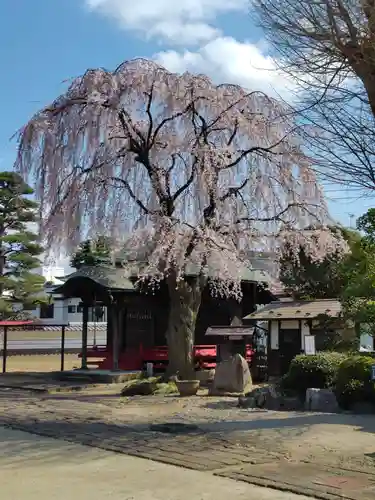 長松院(福島県)