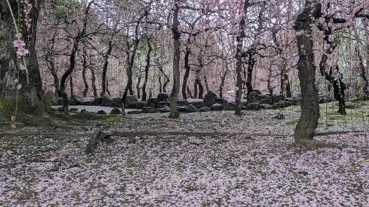 城南宮(京都府)