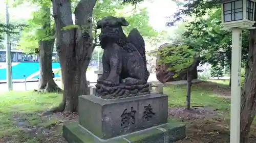 新琴似神社の狛犬