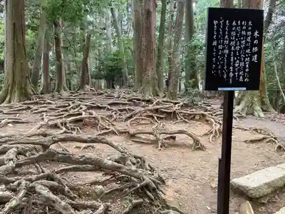 鞍馬寺(京都府)