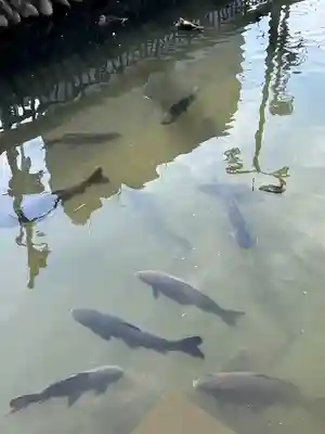 鑁阿寺(栃木県)