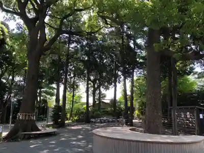 星川杉山神社のその他建物