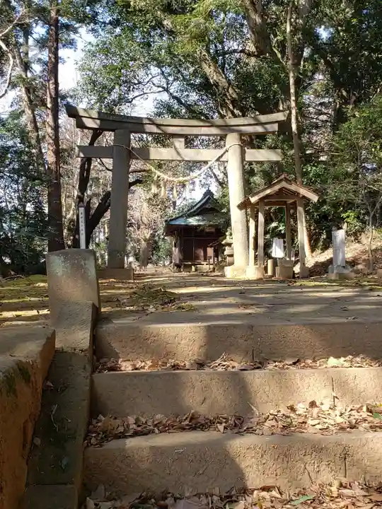 鷲神社(先崎鷲神社)の鳥居