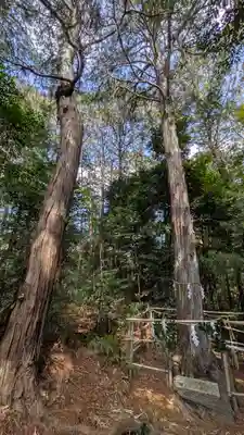 北小栗栖天神宮(京都府)