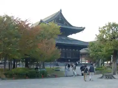 東寺(教王護国寺)の本殿・本堂