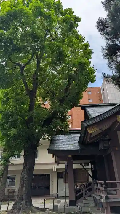 三吉神社の本殿・本堂